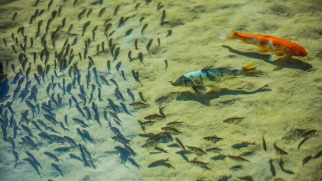 Riserva Golf Vista Mare Residenziale área de lazer Riserva Golf Vista Mare Residenziale área de lazer